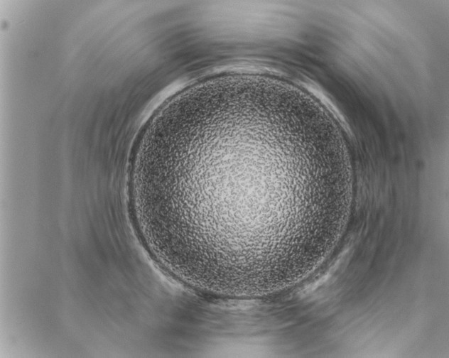 X0000088020853200705181958