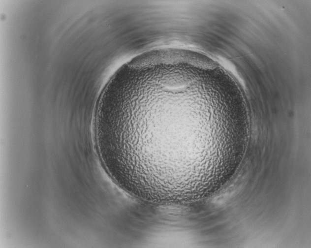 X0000088020863200705181959