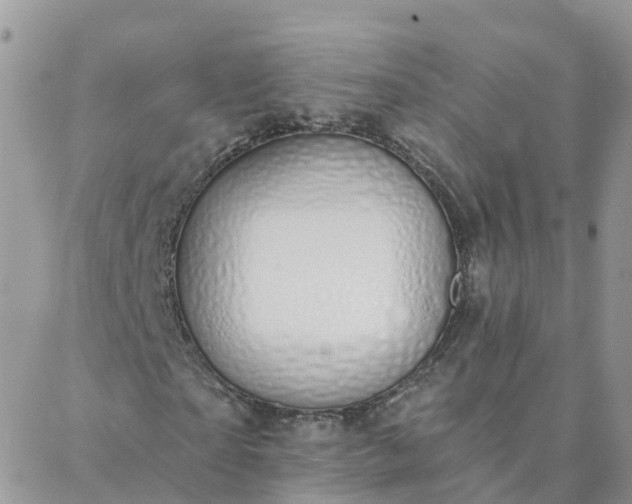 X0000088020865200705181958