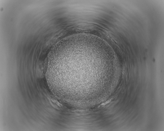 X0000088020868200705181958
