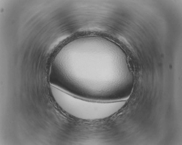 X0000088020872200705181958