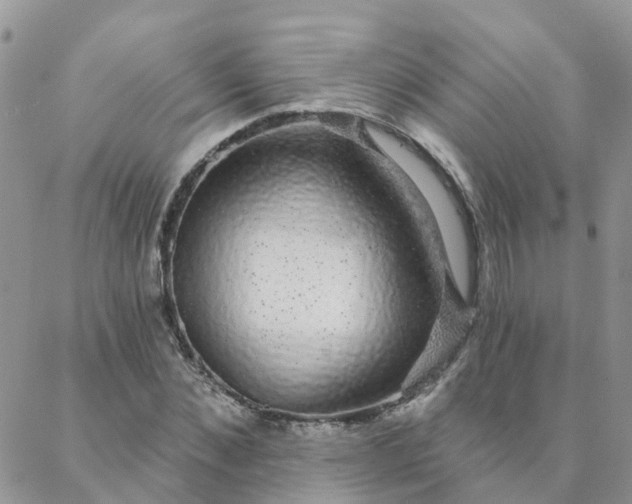 X0000088020876200705181958