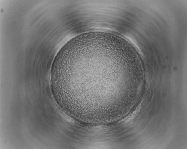 X0000088020891200705181957