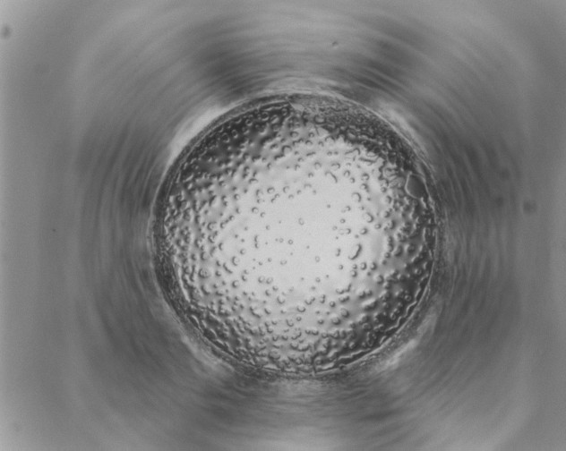 X0000088020893200705181957