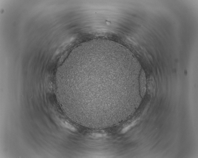 X0000088020916200705181956