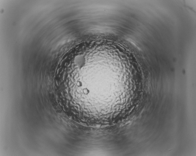 X0000088020917200705181956