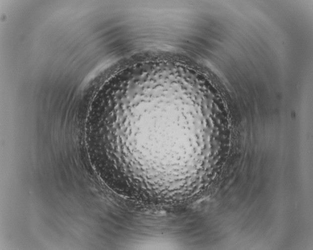 X0000088020919200705181956