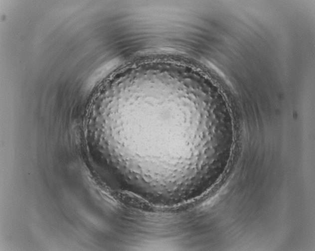 X0000088020921200705181956