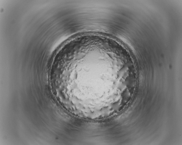 X0000088020925200705181956