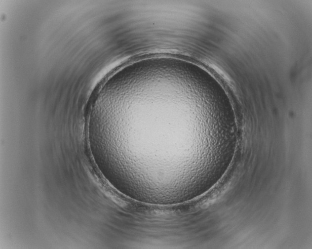 X0000088020933200705181957