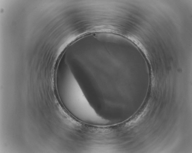 X0000088020941200705181957