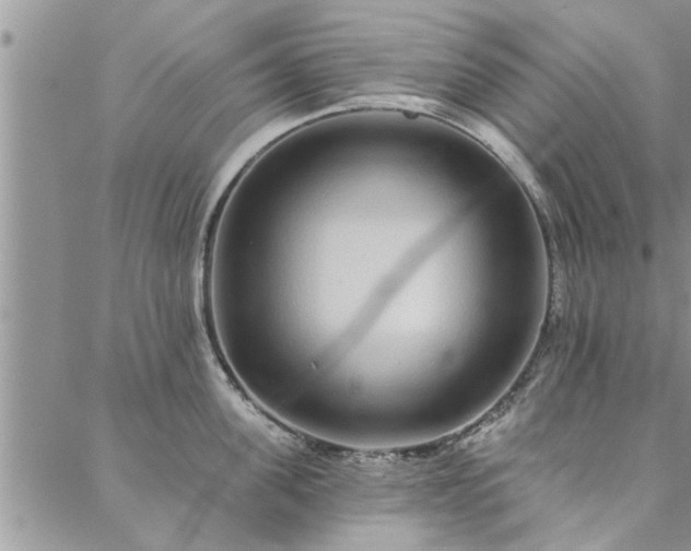 X0000088020955200705181957