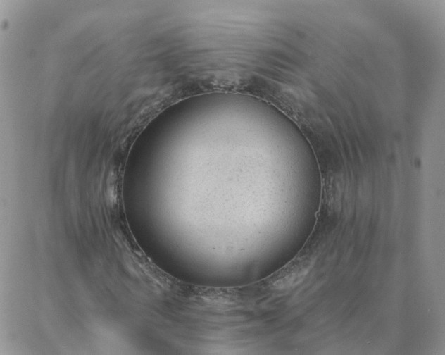 X0000088020962200705181956