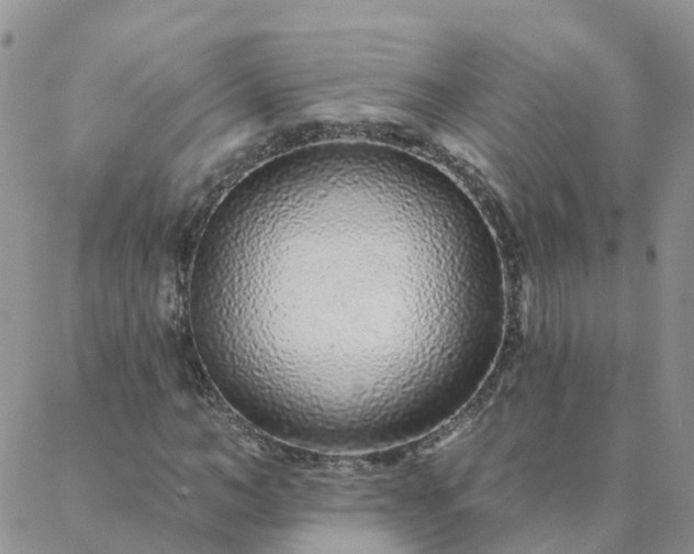 X0000088020966200705181956