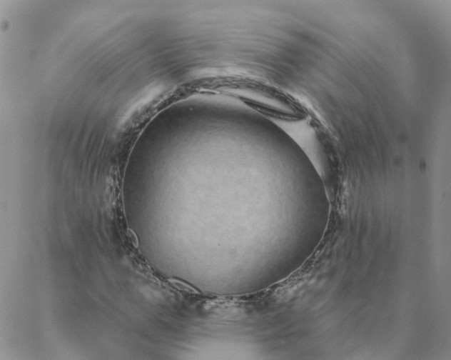 X0000088020967200705181956