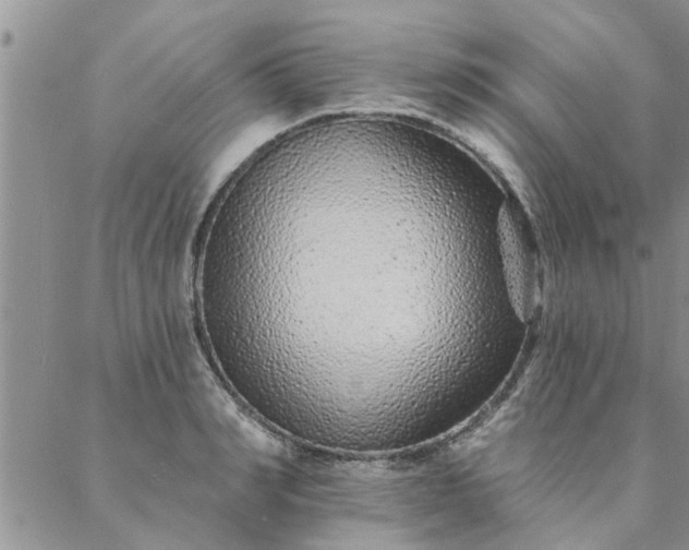 X0000088020990200705181956