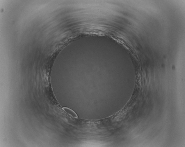 X0000088021013200705181955