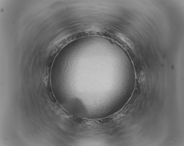 X0000088021015200705181955