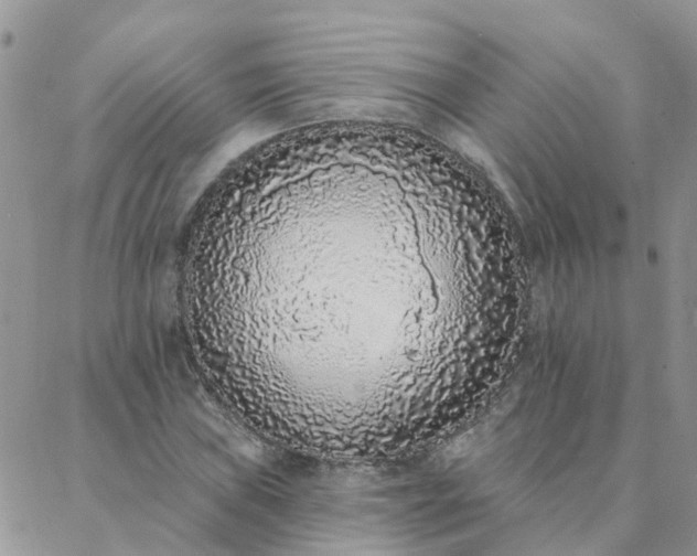 X0000088021019200705181955