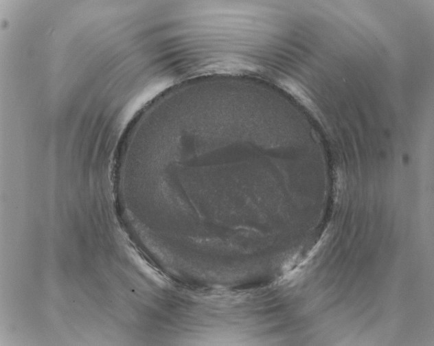 X0000088021026200705181955