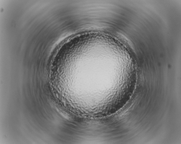 X0000088021027200705181955