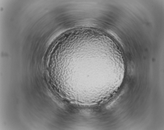 X0000088021031200705181955