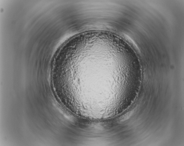 X0000088021035200705181955