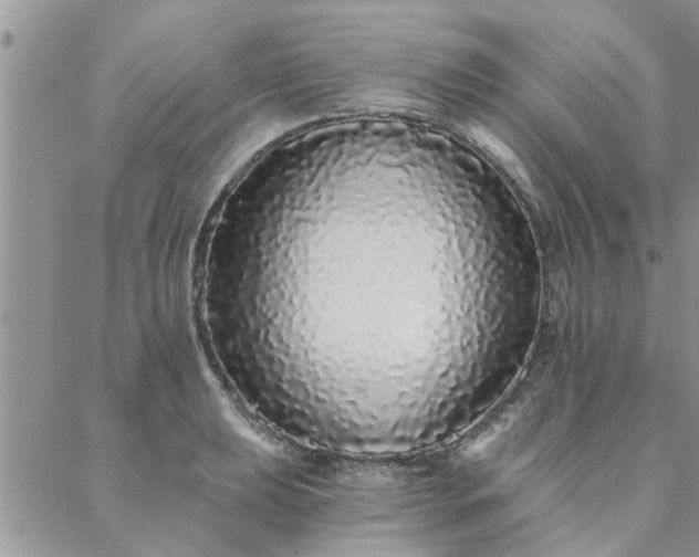 X0000088021039200705181955