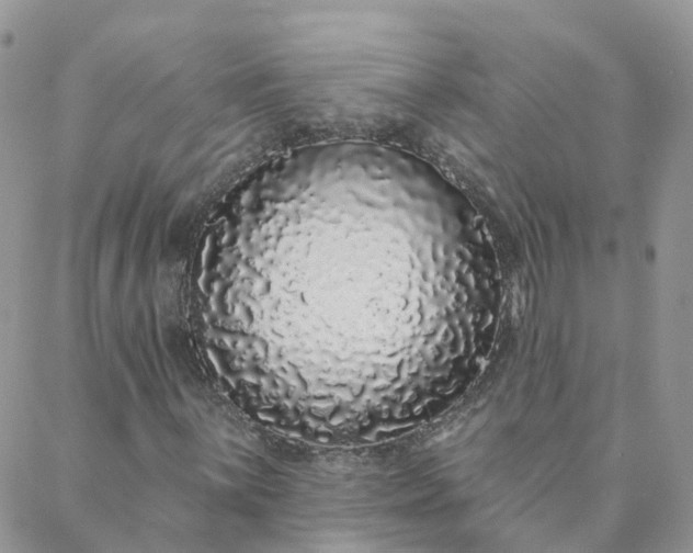 X0000088021059200705181955