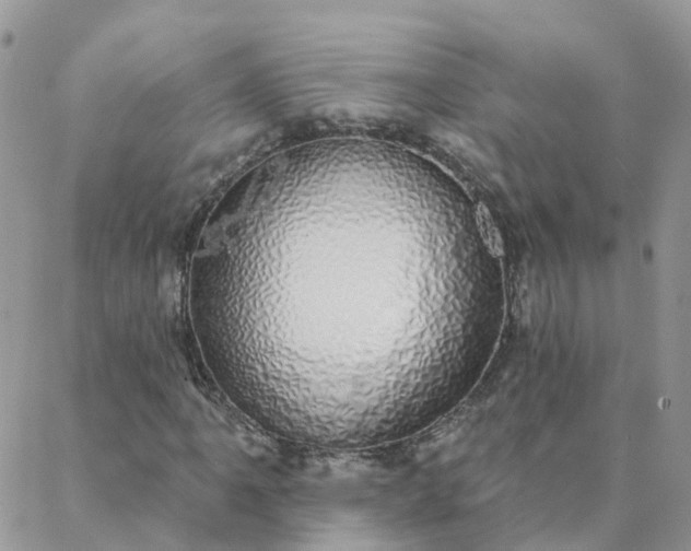 X0000088021061200705181955