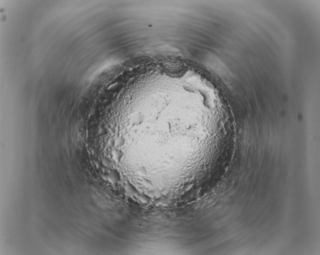 X0000088021063200705181955