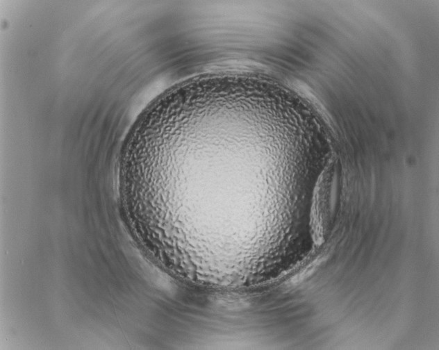 X0000088021083200705181954