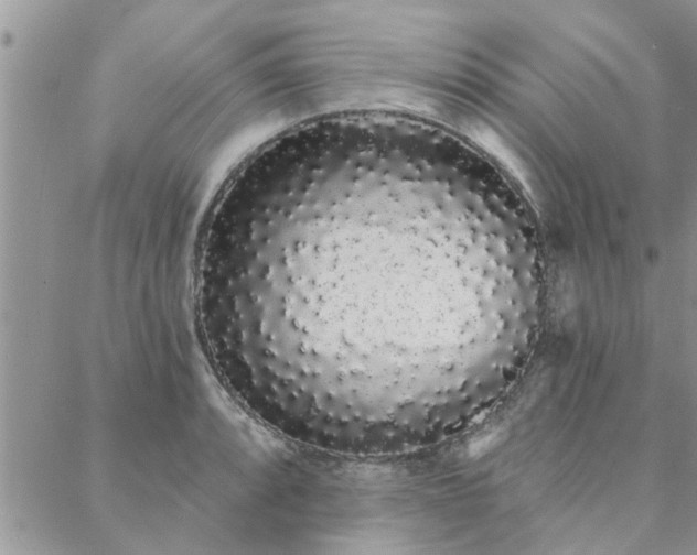 X0000088021088200705181954