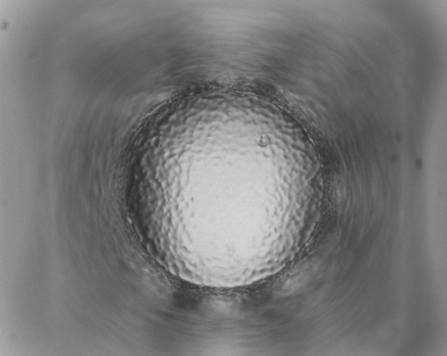X0000088021105200705181953