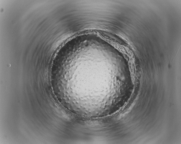 X0000088021121200705181953
