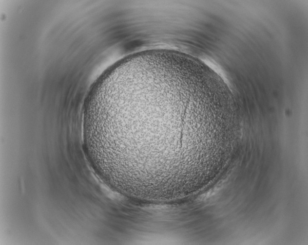 X0000088021127200705181953