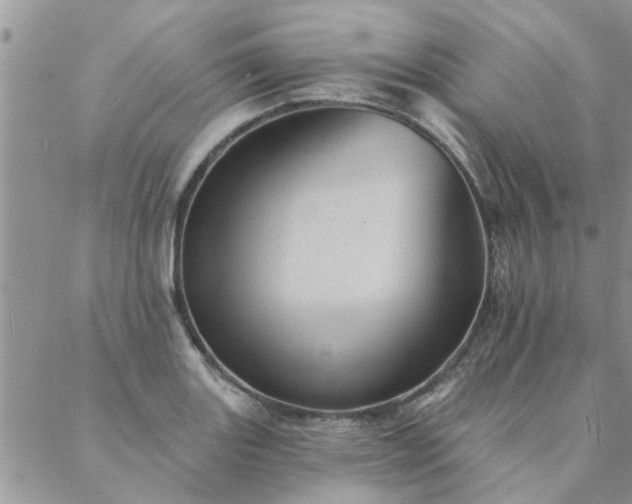 X0000088021131200705181954