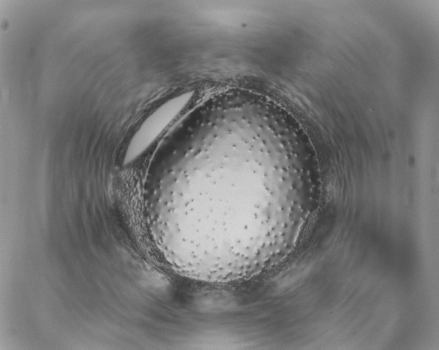 X0000088021156200705181953