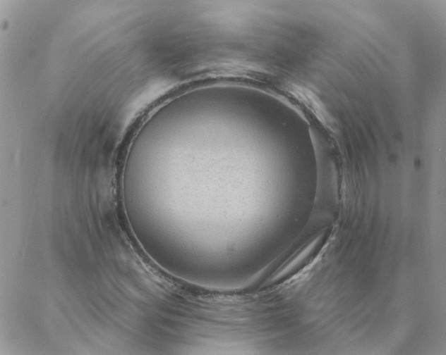 X0000088021164200705181953