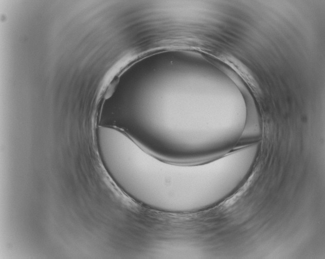 X0000088021196200705181952