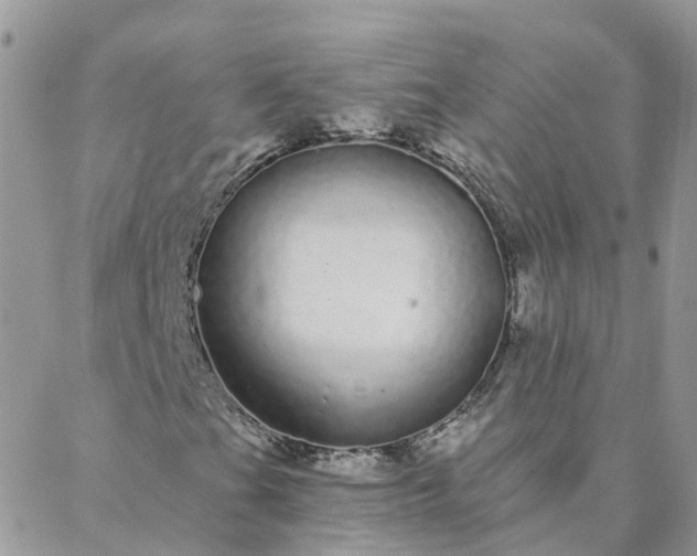X0000088021201200705181952