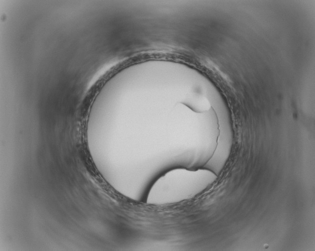 X0000088021208200705181952