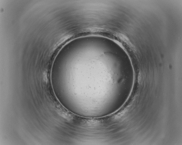 X0000088021209200705181952