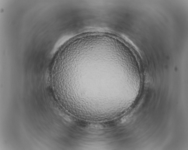 X0000088021215200705181952