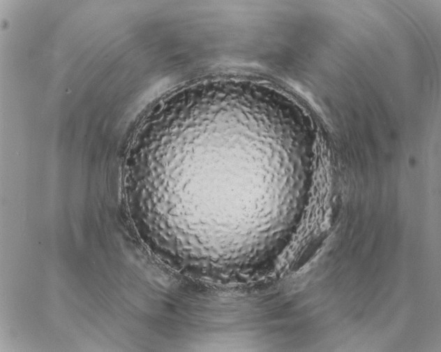 X0000088021219200705181952