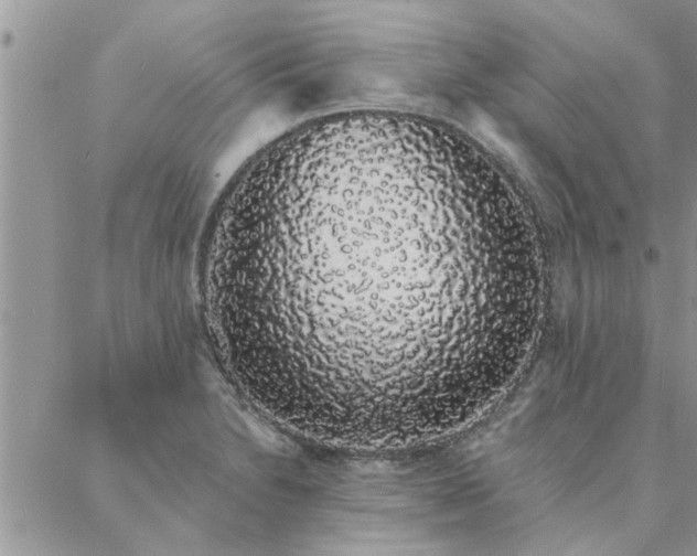 X0000088021230200705181952