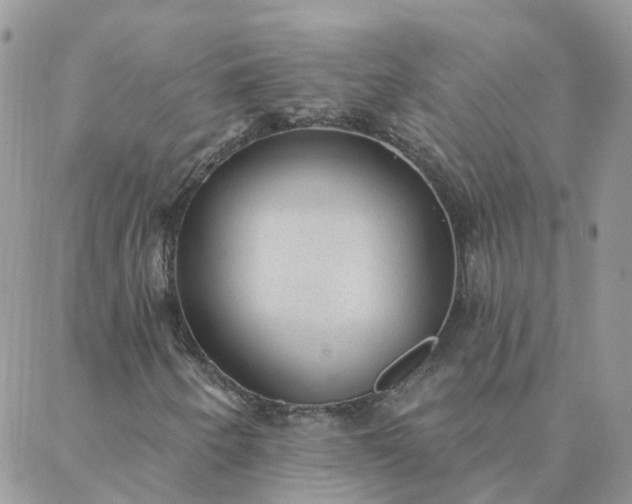X0000088021250200705181952