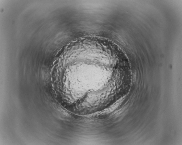 X0000088021251200705181952