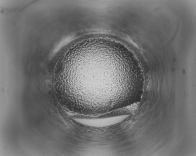 X0000088021255200705181951