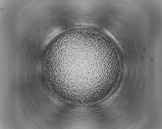 X0000088021259200705181951